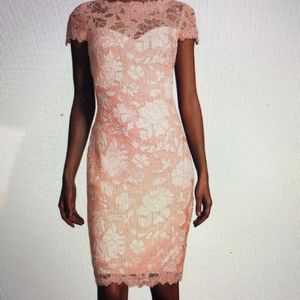Tdashi Shoji Lace Overlay dress